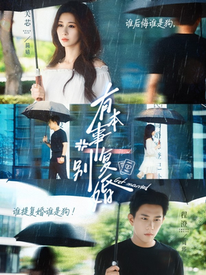 有本事别复婚（79集）爆款热门短剧