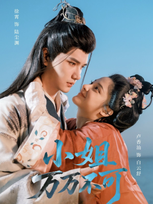 小姐万万不可（74集）短剧每日分享