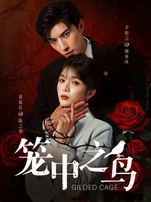 笼中之鸟（70集）简直不要太好看