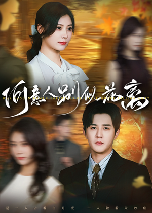 何意人别似花离（61集）好看的短剧推荐