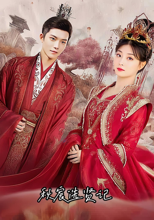 秋宸选贤记（100集）在线观看全集