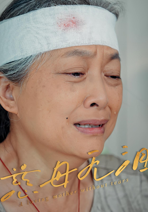 慈母无泪（30集）热门短剧抢先看