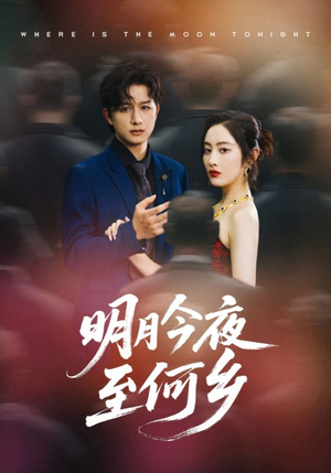 明月今夜至何乡（70集）直接看到大结局