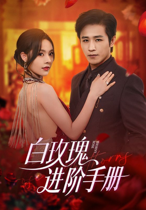 白玫瑰进阶手册（64集）在线观看全集