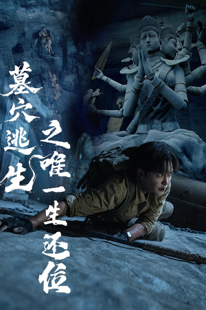 墓穴逃生之唯一生还位（70集）精彩短剧热播中