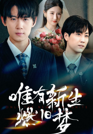 唯有新生燃旧梦（55集）流畅播放免费看