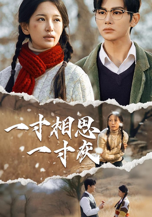 一寸相思一寸灰（43集）真的太精彩了