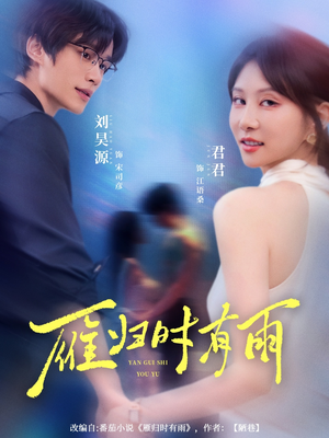 雁归时有雨（84集）短剧在线观看