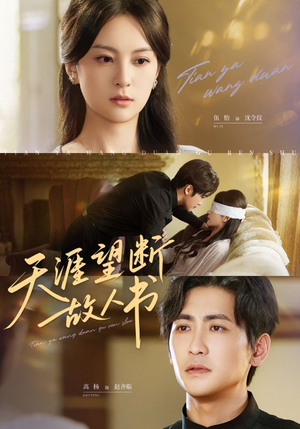 天涯望断故人书（60集）红果免费短剧