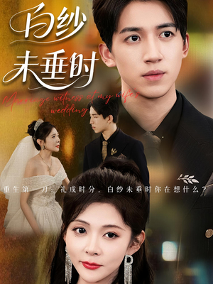 老婆婚礼，我当证婚人（54集）热门短剧推广