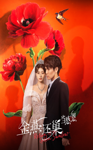 金燕还巢当感恩（55集）最后一集