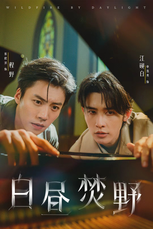 白昼焚野（70集）短剧精彩推荐