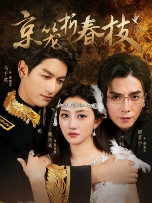 京笼折春枝(79集) 京笼折春枝(79集)一共多少集