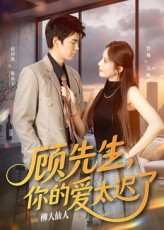 顾先生你的爱太迟了(60集) 顾先生你的爱太迟了(60集)一个短剧看全集