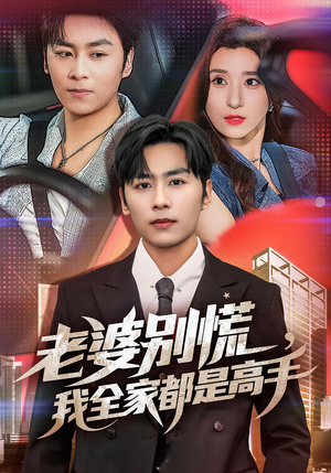 婆别慌我全家都是高手（58集）在线观看全集