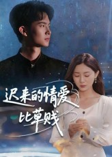 迟来的情爱比草贱（46集）看过的人都说好