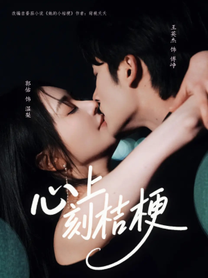 心上刻桔梗（90集）短剧全集免费