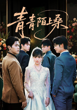 青青陌上桑（70集）男频短剧推荐