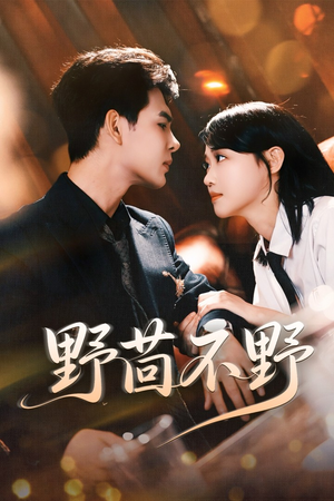 野茴不野（67集）最新热剧免费看