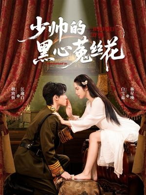 少帅的黑心菟丝花（60集）热门短剧榜单