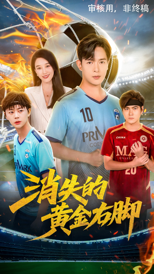 消失的黄金右脚（62集）好看吗