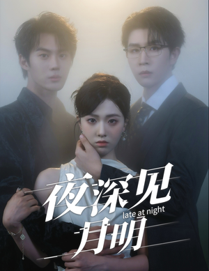 夜深见月明(50集) 夜深见月明(50集)悬疑短剧推荐