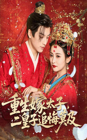 重生嫁太子二皇子追悔莫及（54集）第二季