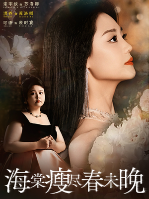 海棠瘦尽春未晚(62集) 海棠瘦尽春未晚(62集)在线看到大结局