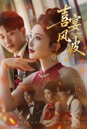 喜宴风波&替罪伴娘（30集）一共多少集