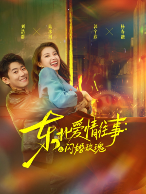 东北爱情往事闪婚玫瑰（89集）精彩短剧推荐