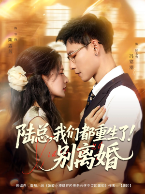 陆总我们都重生了别离婚（79集）爆火短剧推荐