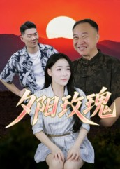 夕阳玫瑰（22集）演员表