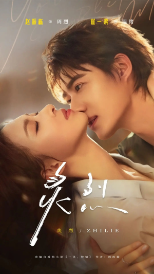 炙烈（73集）短剧看全集