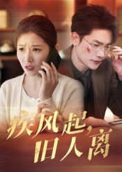 疾风起旧人离(32集) 疾风起旧人离(32集)短剧精彩不断
