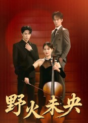 野火未央（40集）热门短剧推荐