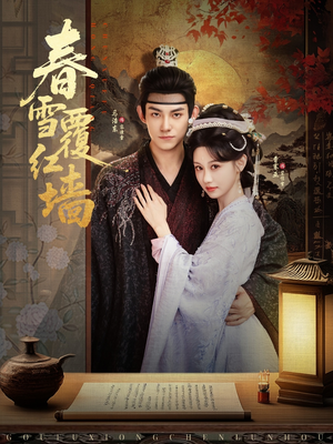 春雪覆红墙（84集）全集在线看