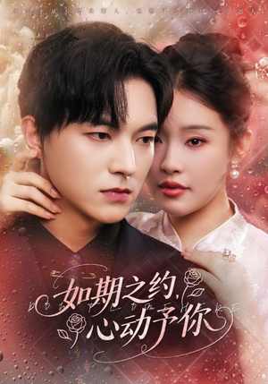 如期之约心动予你（82集）爆火短剧推荐