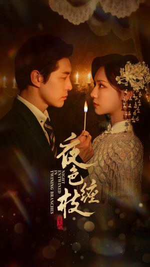 夜色缠枝百度HE版本（62集）短剧热门合集