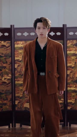 夫人最爱打负心汉（65集）一共多少集