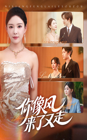 你像风来了又走（59集）全集我都看完了
