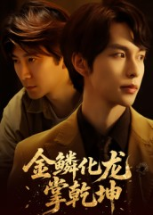 金lin化龙掌乾坤（54集）最新热剧免费看