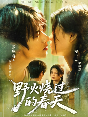 野火烧过的春天（85集）高分推荐免费看