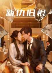 新仇旧恨（51集）精彩热门短剧