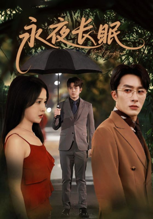 永夜长眠（70集）在线观看