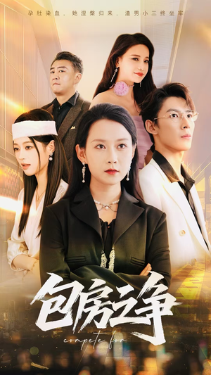 包房之争（50集）评价怎么样