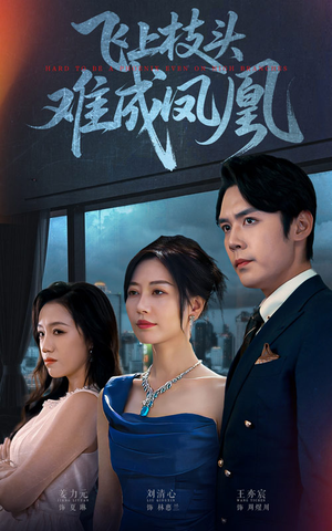 飞上枝头难成凤凰（47集）短剧热播推荐