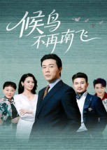 候鸟不再南飞（80集）好看的短剧电影