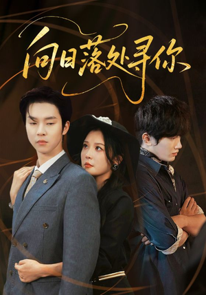 向日落处寻你（70集）完整版