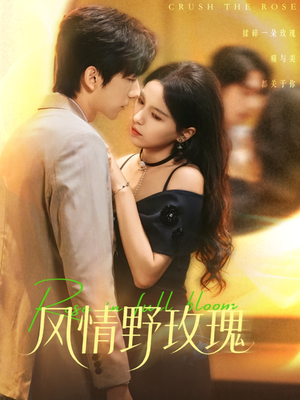 揉碎玫瑰（70集）短剧太精彩了