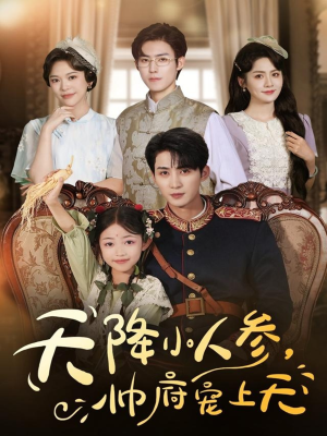 天降小人参，帅府宠上天（83集）短剧爆款推荐